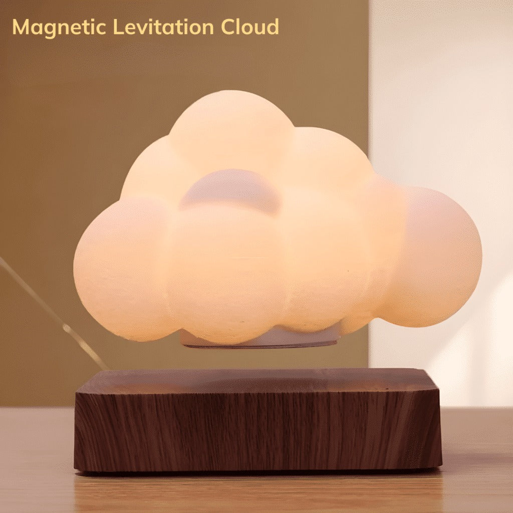 Maglev cloud